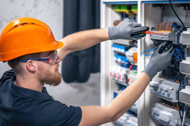 Best Residential Electrician Services  in Vassar, MI